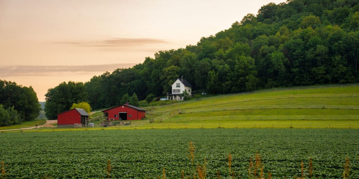 Starlink pour les agriculteurs, connecter votre exploitation en Wallonie